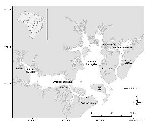 (2005) estudaram a comunidade de peixes de fundos móveis arenosos de Canto Grande (SC), através de amostragens bimensais e verificaram uma variação sazonal e diferenças entre o dia e a noite no