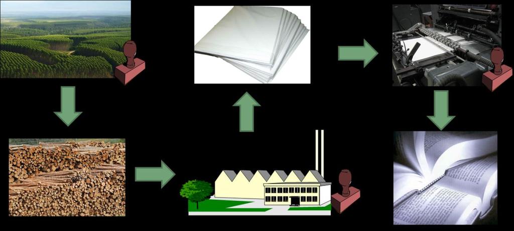 Cadeia de Custódia