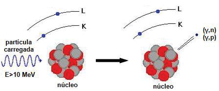 Figura 3 - Processo de excitação atômica ou molecular por interação de uma partícula carregada com a matéria (UFSC, 1998) Figura 4 - Ativação do núcleo devido ao choque de uma partícula