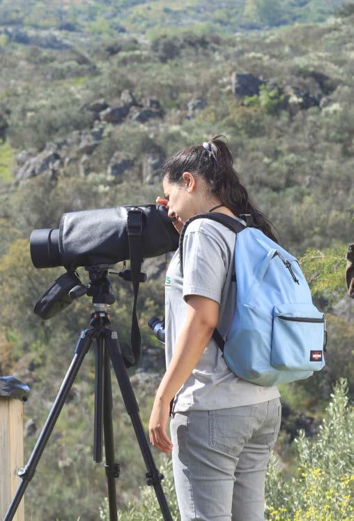 Aulas na Natureza 10 Observação de aves no Parque da Cidade do Porto/Observatório do FAPAS no Estuário do Douro O Parque da Cidade, embora de características urbanas é um importante refúgio de aves,