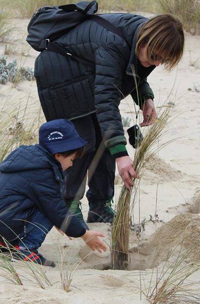 Projetos 12 Projeto - Preservação e recuperação de sistemas dunares a nível ecológico, devido ao desaparecimento de habitats.