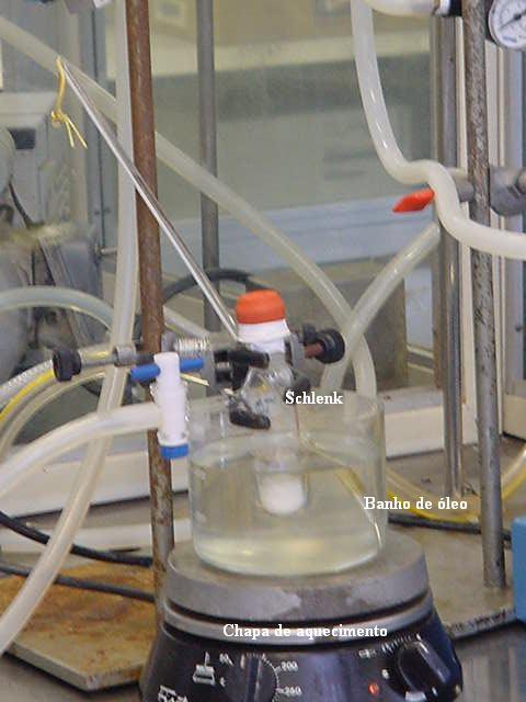 34 Na última etapa foi feita polimerização em estado sólido sob pressão reduzida (0,05mmHg) e a 80ºC, até chegar a 350h de tempo de vácuo com objetivo de aumentar a massa molar do polímero PLLA.