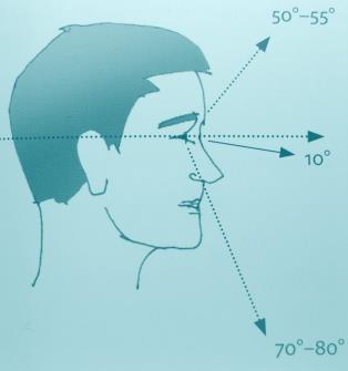 caminhada normal inclinamos a cabeça a 10º Visão e ambiente construído Velocidade e percepção O aparelho sensorial é essencial para entender a percepção Em um