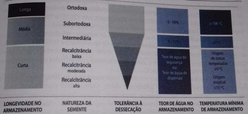 Figura Longevidade das sementes e