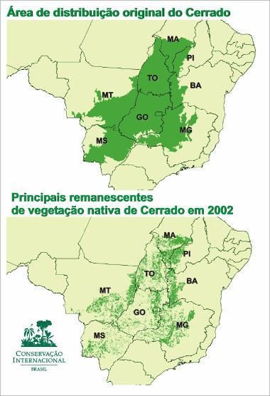 Bioma Cerrado e