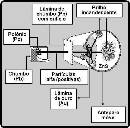 carga relativamente próximos aos de íons metálicos que atuam nos processos biológicos, causando interferência nesses processos.