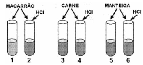 Revisão de Específicas de 1. Uma enzima, extraída da secreção de um órgão abdominal de um cão, foi purificada, dissolvida em uma solução fisiológica com ph 8 e distribuída em seis tubos de ensaio.