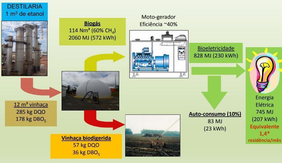 Fonte: Neto (2014) Figura 5 Potencial de Geração de Biogás A seguir é apresentado o potencial em termos de geração de energia no processo, além da eficiência atualmente obtida por meio de