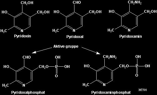 PIRIDOXINA (Vitamina B6) Derivado fosforilado da vitamina B6