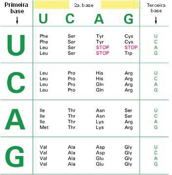 Genética Básica Figura 5- Código genético (Fonte: http://www.ufpe.br/biolmol/genetica-medicina/sintese_proteica.htm).