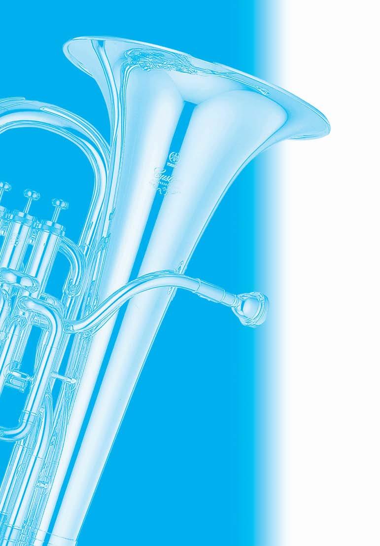 Alto Horn/Baritono/ Euphonium/Tuba/Sousafone Manual de instruções xxxxxxx 2432720