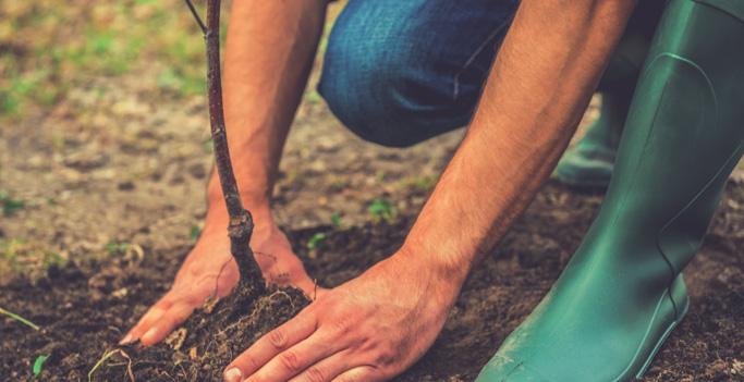 ZEN, LEVE E PRÓ. SABORES DO BEM Uma das evoluções mais significativas das pessoas nos dias de hoje está na alimentação.