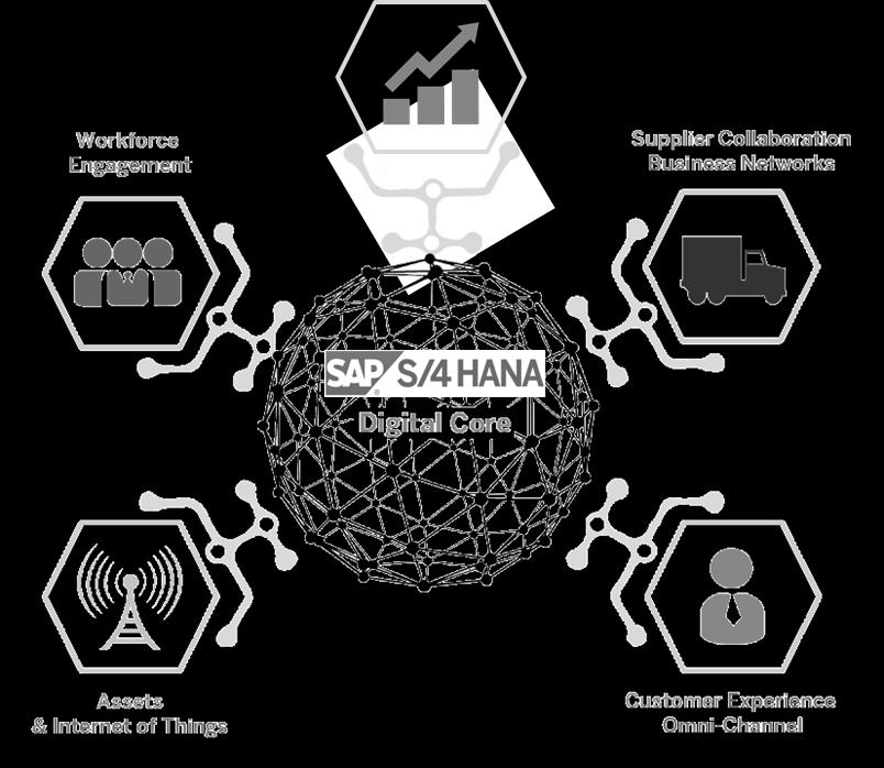 NOVO CORE DIGITAL POTENCIAL CCS Analíticas Insight HSF HYPERION BPC BI/BO Fiori PORTALS SISTEMAS PREFEITURAS WORKPLAN Profissionais Compromisso Fornecedores Redes de Negócios WEB RODA