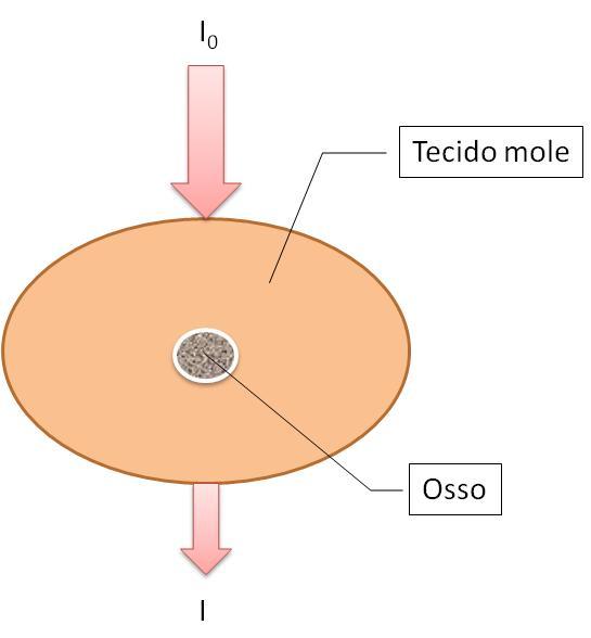 Figura 5: O feixe de radiação com intensidade inicial I 0 é atenuado pelo tecido mole e pelo osso resultando em um feixe de intensidade I Resolvendo a equação 3 obtemos o valor de x osso que é a