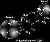 Sua fórmula molecular é C 6 4 2 ; pois a molécula possui 6 átomos de carbono, 4 átomos de hidrogênio e 2 átomos de oxigênio. Esta molécula pertence à função cetona.