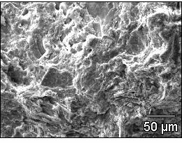 Si Al Figura 5: Micrografia obtida por MEV da região de