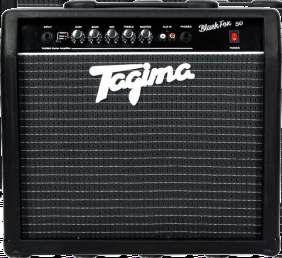 de ouvido 110 / 220v TBF 30 Amplificador de guitarra Black Fox 30 30 Watts Alto falante 8"  de