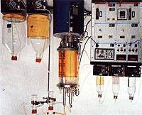 Introdução Meios de fermentação: - produtos extracelulares (solúveis e insolúveis), - produtos intracelulares, - fragmentos de células, - microrganismos intactos - substratos ou demais componentes