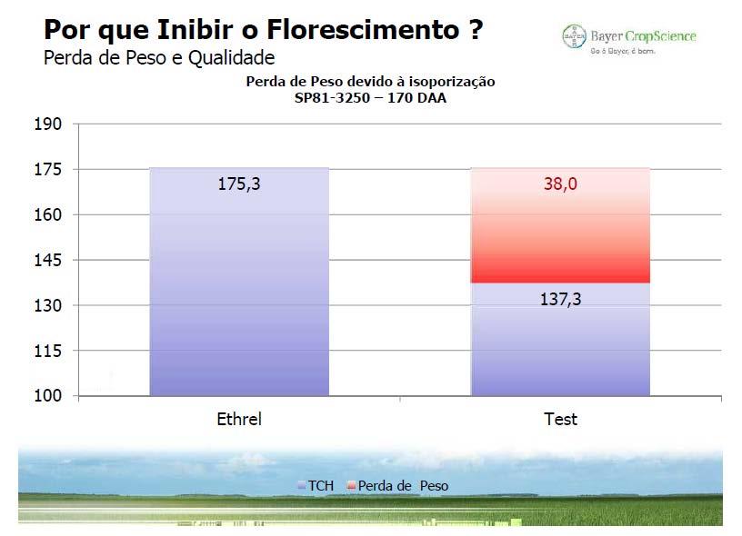 Frutal, MG