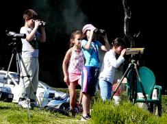 Concurso Juvenil; Grupo Bensaúde saídas de campo e observação de aves).