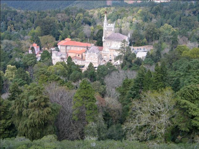 Património natural O Arboreto (ocupa cerca de 80% da área da