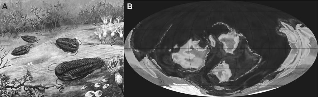 Paleontologia Geral Figura. (A) Representação do mar do Ordoviciano, onde pode-se ver em destaque os trilobitas; (B) e um mapa mostrando a distriuição dos continentes durante o mesmo período.