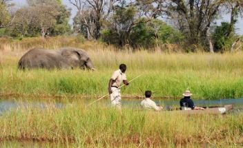 Durante a tarde, atividade no Delta de Okavango em típicas canoas mokora, ou em lancha, a fim de observar a beleza da paisagem que nos rodeia e o