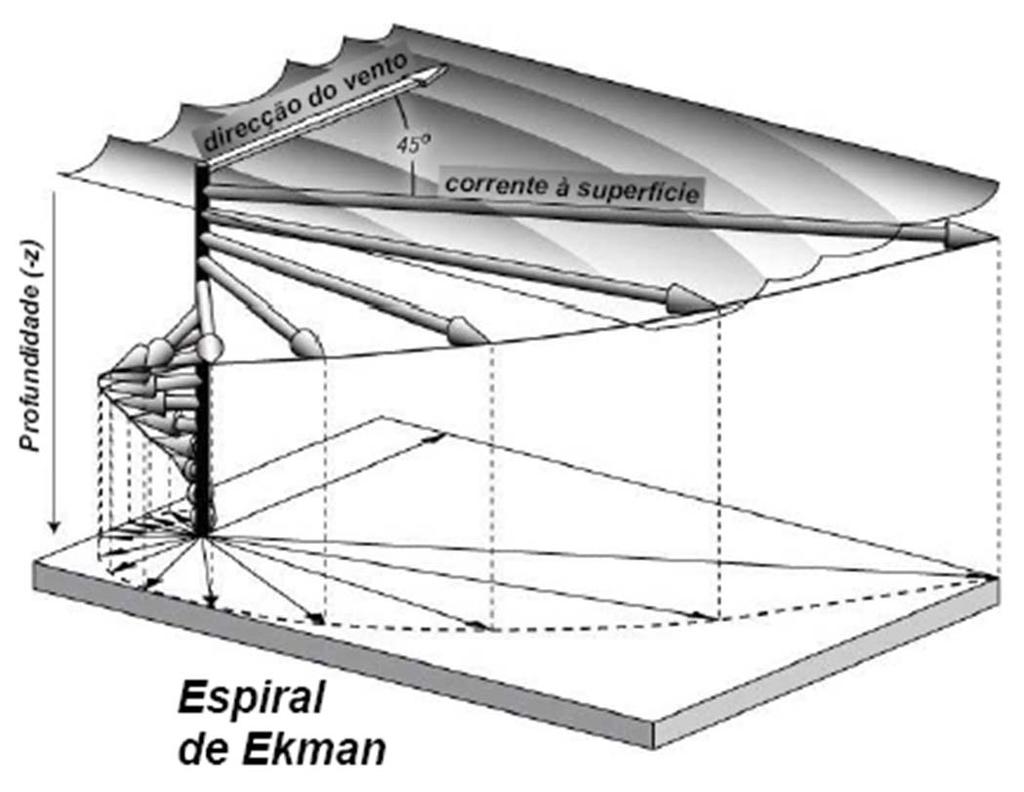 Circulação Induzida pelo Vento Teoria de Ekman Modelo de Ekman da corrente induzida pelo vento, no Hemisfério Norte: (a) forças e velocidade à superfície - a força de atrito total equilibra a força