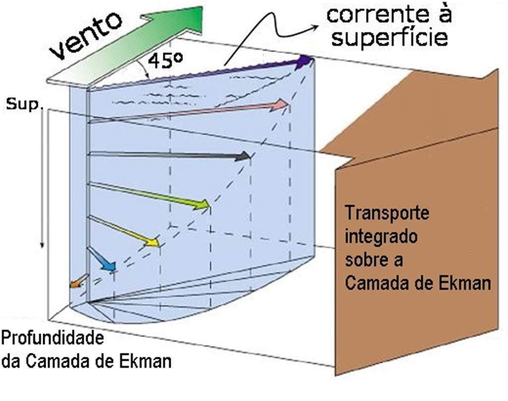 Circulação Induzida pelo Vento Resultados da Teoria de Ekman Considerando o balanço entre as forças de atrito e a força de Coriolis num número infinito de camadas que constituem a coluna de água,