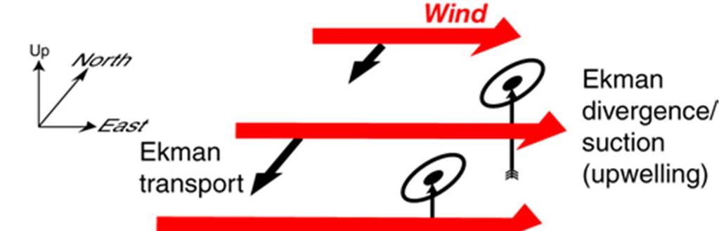 Wind stress curl - vorticity Ekman transport convergence and divergence in the Northern Hemisphere due to variations in a zonal (eastward) wind.