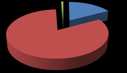 Congregação Igreja constituída Ponto de Pregação 1% 17% 82% MAI - Ministério de