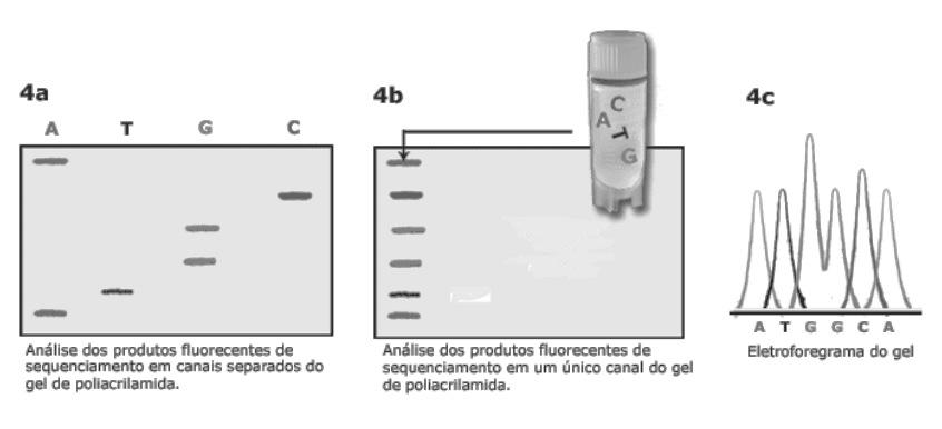 Sequenciamento