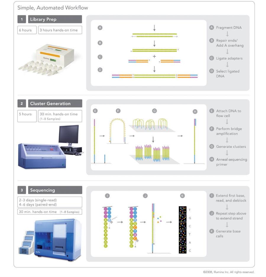 Illumina