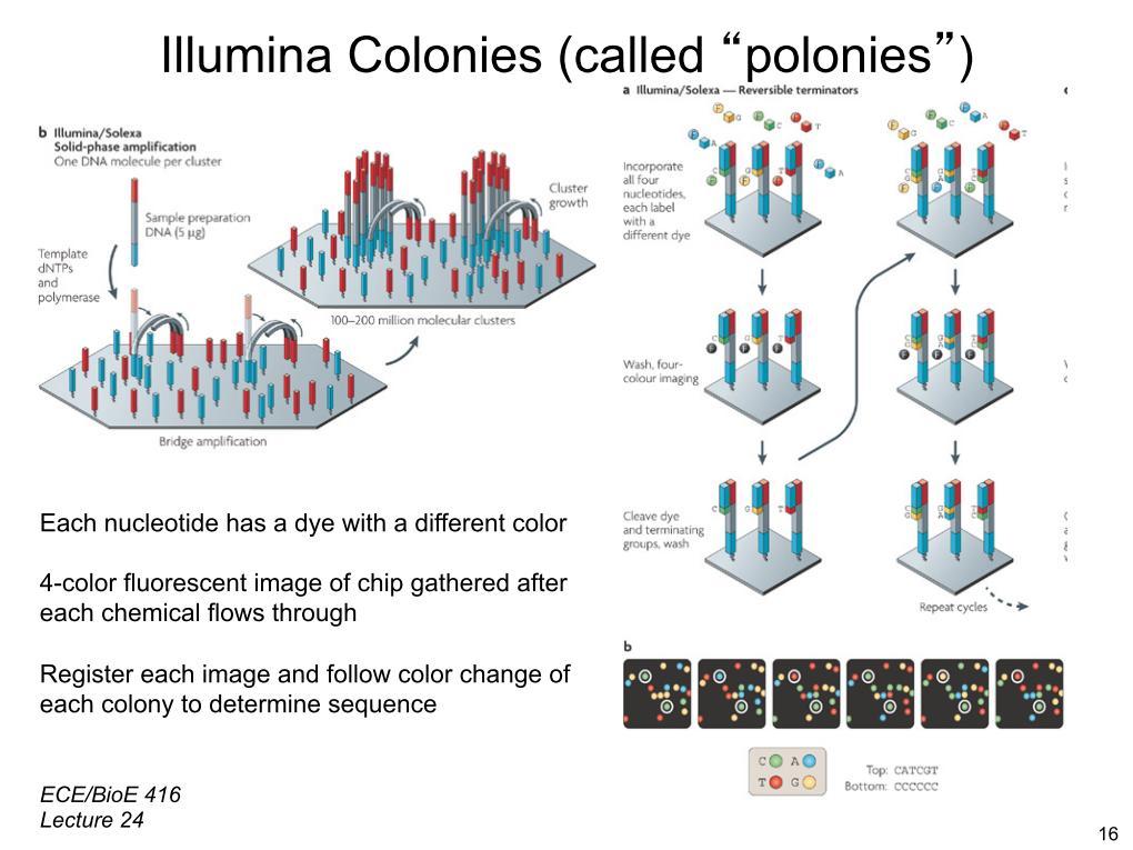 Illumina https://www.