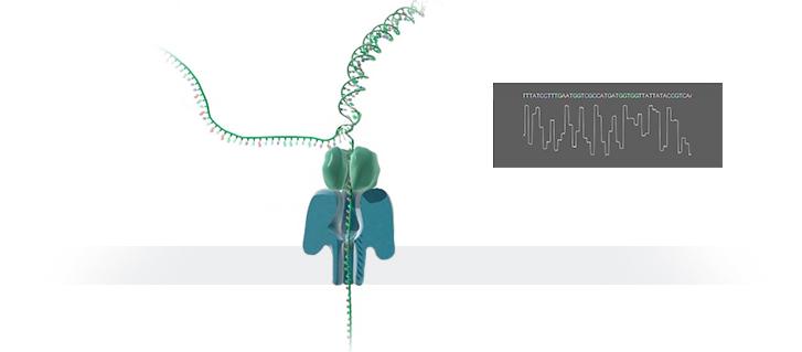 Oxford Nanopore