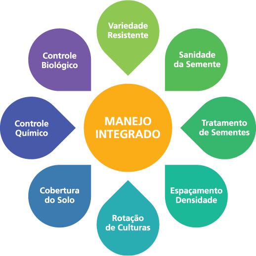 Implementação Programas MIP Para elaboração de um