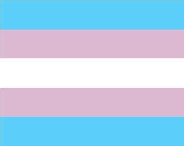 SÍMBOLOS Bandeira do Orgulho Transgênero identificada no