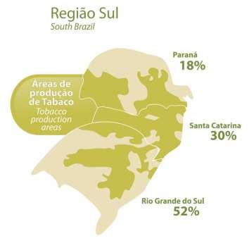 2. INTRODUÇÃO Mercado Brasileiro * Área plantada: 447.000 ha Produção: 932.