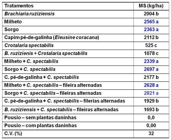 Matéria seca (MS), em kg/ha, das espécies vegetais semeadas em outubro, e avaliadas em dezembro.