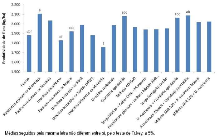 Produtividade (kg/ha) de fibra de algodão em função das