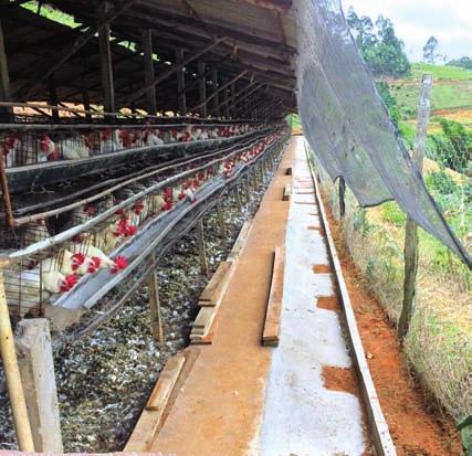 deles já estão validados a campo, como os utilizados na fruticultura, piscicultura e também na avicultura de corte, com a durabilidade avaliada e confirmada.