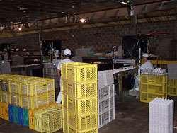 COMERCIAL DE OVOS Centro de processamento de ovos Descarga dos ovos e limpeza das bandejas Área suja Processamento dos ovos (6 etapas) Temp.