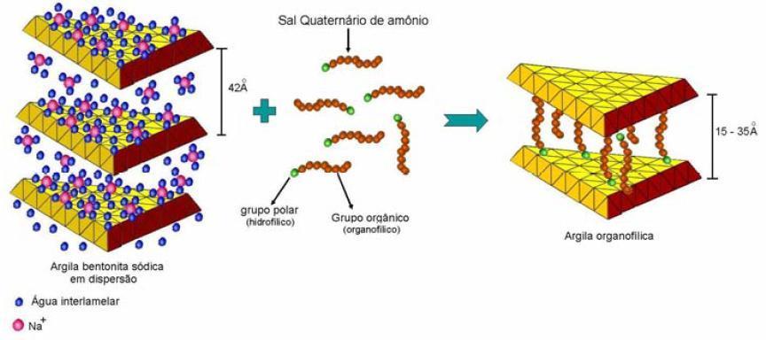 Figura 1: Diagrama esquemático do processo de organofilização, onde moléculas do sal quaternário de amônio foram introduzidas entre as camadas interlamelares de uma argila bentonítica sódica.