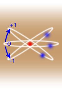 O númeo quântico mgnético obit Um vez que o eixo z está especificdo, o veto momento ngu só pode pont em cets dieções em eção esse eixo. Utiizmos o temo quntizção espci poque dieção de L é quntizd.