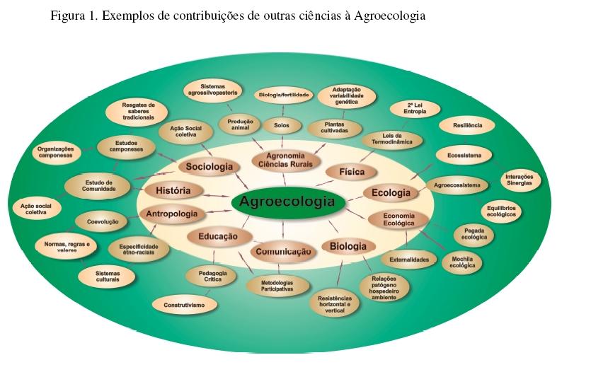 Isto posto, cabe destacar apenas alguns exemplos ilustrativos de como a Agroecologia vem buscando a articulação de diferentes conhecimentos, de distintas disciplinas e campos da ciência, para