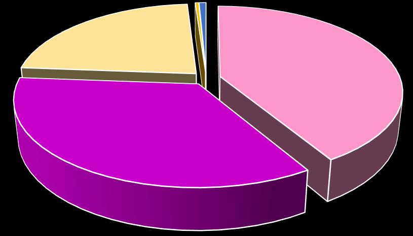 4. INTENÇÕES DE COMEMORAÇÃO Por fim, 44,81% dos pesquisados participarão de comemorações.