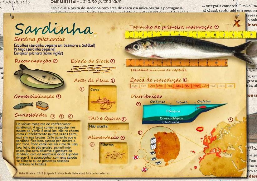 em de s relevantes Sardinha Sardina pilchardus European pilchard Petinga (sardinha pequena), Esquilhas (sardinha pequena em Sesimbra e Setúbal) Outubro a Abril.