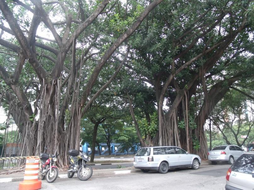 Imagem mostrando a declividade da praça, uma das