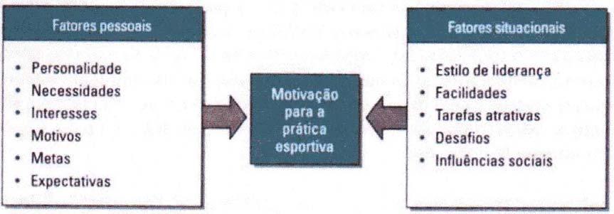 11 2.3 Motivação intrínseca, extrínseca e a desmotivação Na psicologia do esporte, a motivação pode ser entendida pela direção de um esforço em que o indivíduo procura, aproxima ou é atraído por