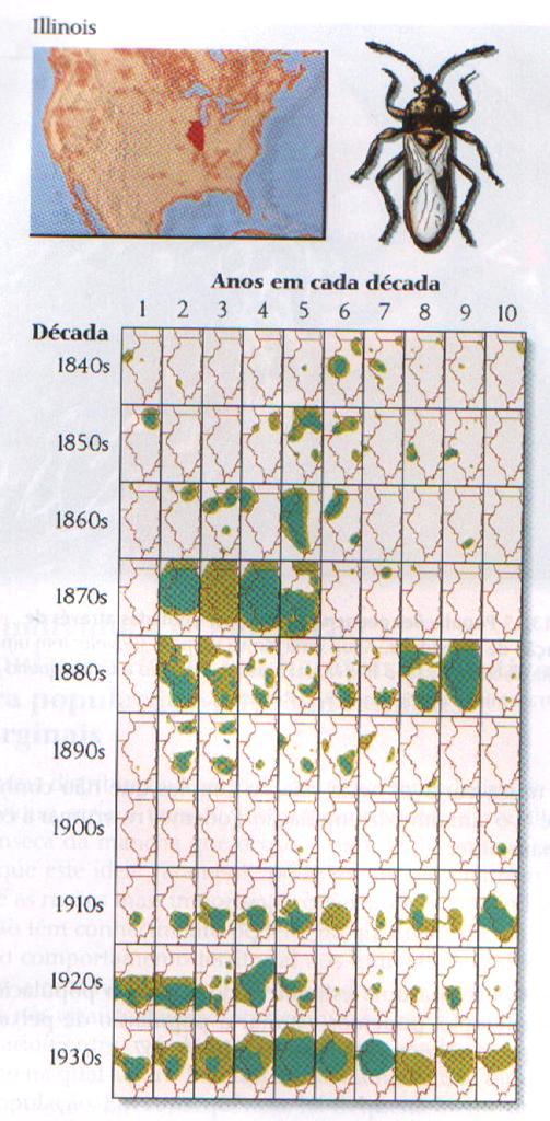 Gráfico mostrando a mudança na densidade populacional no tempo e no espaço Distribuição dos danos à